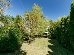 Vonkajšia záhrada v ubytovaní Holiday Home Mathias Rex by Interhome