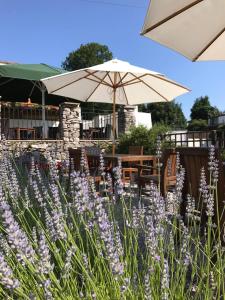 The Pheasant Inn في غرانج أوفر ساندز: حديقة بها زهور أرجوانية ومظلة