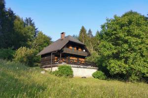 una gran casa de madera en medio de un campo en Cottage in the woods - Lake Bohinj en Bohinj