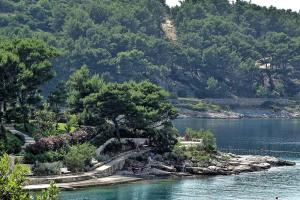 Fotografie z fotogalerie ubytování Villa Pupa A4, sea view apartment v destinaci Povlja