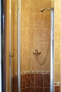 a shower with a glass door in a bathroom at Hostinec v Zátoce in Horní Těrlicko