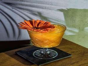 Nápoje v ubytovaní ibis Styles Lublin Stare Miasto