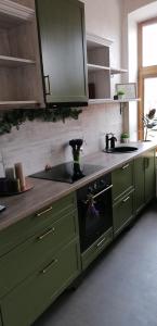 a kitchen with green cabinets and a stove top oven at Vintage Rooms in Kuldīga