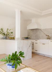 a kitchen with white cabinets and a potted plant at Gran hotel Brillante in San Esteban de Pravia +76 photos