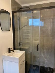 La salle de bains est pourvue d'une douche et d'un lavabo. dans l'établissement Le beffroi, à Calais