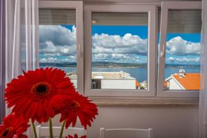 Příroda nedaleko apartmánu + 25 fotografií