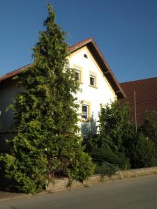 un grand pin devant une maison blanche dans l'établissement Sunshine Westernranch, à Kasendorf