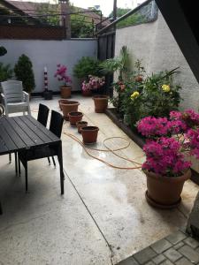 Κήπος έξω από το 10 b shindisi street,Tbilisi