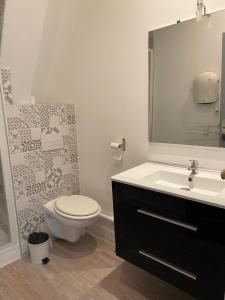 a bathroom with a toilet and a sink and a mirror at La bourboule Appartement in La Bourboule