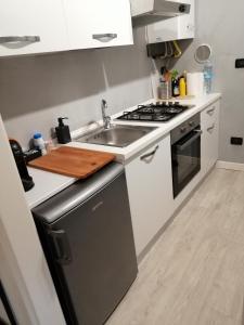 Kuchyňa alebo kuchynka v ubytovaní Adam Apartment