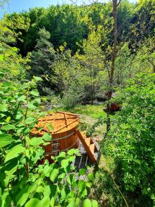 una barca di legno in mezzo a una foresta di Korondi Pisztrangos a Corund