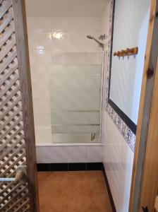 a shower with a glass door in a bathroom at Apartamento Zahara in Zahara de los Atunes