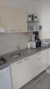 Kuchyň nebo kuchyňský kout v ubytování Apartments Teo 1