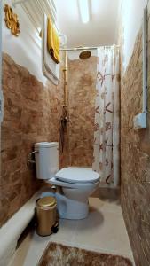 een badkamer met een toilet en een douche bij Hawaii Fira Barcelona in Hospitalet de Llobregat