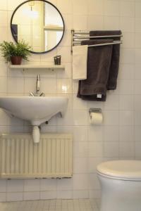 a bathroom with a sink and a mirror and a toilet at Logement het Herenwaltje in Leeuwarden