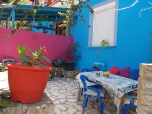 A garden outside Marco's apartment