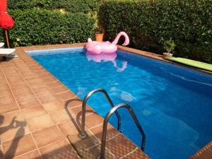 einen Pool mit einem rosa Schwan im Wasser in der Unterkunft Ferienhaus Casa Yelmo in Cala Mendia
