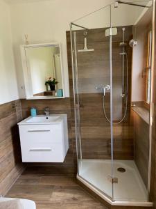 een badkamer met een douche en een wastafel bij FEWO Mein Panama in Bernkastel-Kues