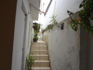 薩爾瓦多的住宿－藍海公寓，建筑一侧有盆栽植物的楼梯