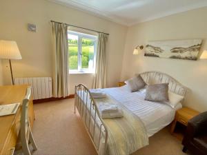 um quarto com uma cama, uma secretária e uma janela em Llety Ceiro Guesthouse em Aberystwyth