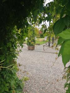 Fotografie z fotogalerie ubytování Zielone Tarasy na Kaszubach v destinaci Sikorzyno + 34 fotografií