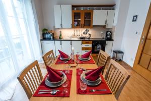 Kuchyň nebo kuchyňský kout v ubytování Apartment CHOPIN