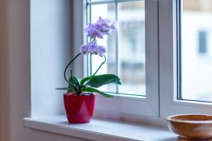 Fotografie z fotogalerie ubytování Apartment CHOPIN v destinaci Mariánské Lázně