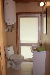a bathroom with a toilet and a sink and a window at Zamsówka in Guciów