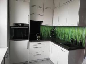 Kuchyňa alebo kuchynka v ubytovaní Apartament Zosia