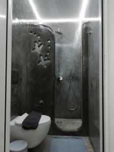 a bathroom with a shower and a toilet and a sink at Studio farma in Zefiría