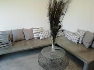 a vase with grass in it sitting in front of a couch at Studio farma in Zefiría