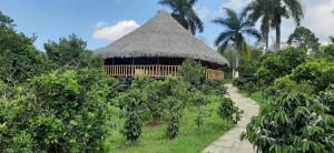 Zahrada ubytování Finca Cafetera Las Mercedes