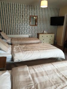 GarvaghにあるGortin Glen Guest Houseのベッド2台とテレビが備わるホテルルームです。