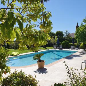 uma piscina com um vaso de plantas num quintal em Le Domaine des Mûriers - charme, chic, calme en Provence Côte d'Azur em Plascassier