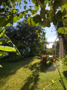A garden outside Miloni Studios