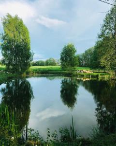 a large pond with trees and clouds in the water at Siedlisko Besarabka in Czernikowo