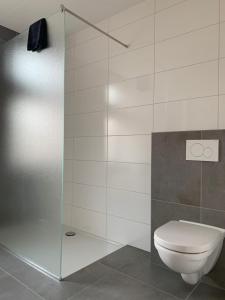 La salle de bains est pourvue de toilettes et d'une douche en verre. dans l'établissement Les Maisons Domburg, à Domburg