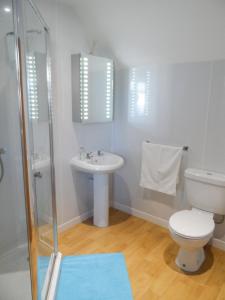 a bathroom with a toilet and a sink and a shower at Seaview Apartment in Keiss