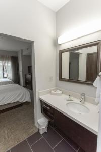 鮑靈格林的住宿－鮑林格林住橋套房酒店，一间带水槽和镜子的浴室以及一张床
