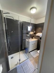 W łazience znajduje się szklana kabina prysznicowa i umywalka. w obiekcie Résidence Aramis w mieście Cazaubon