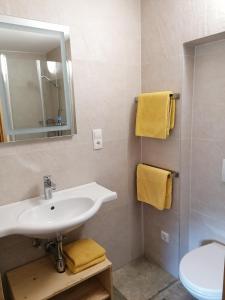 uma casa de banho com um lavatório, um espelho e um WC. em Zachhof em Ellbögen