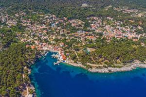an aerial view of a town next to the water at Apartments VESNA (63) in Veli Lošinj
