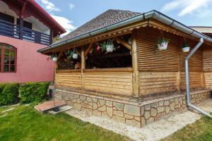 Afbeelding uit fotogalerij van Casa dintre munti Karina in Nehoiu