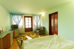 Afbeelding uit fotogalerij van Casa dintre munti Karina in Nehoiu