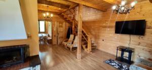 TV a/nebo společenská místnost v ubytování Kazkova Sadyba