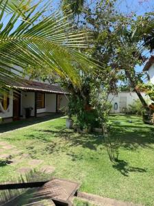 a palm tree in the yard of a house at Casa com 3 suítes - À 150m da praia de Geribá in Búzios +5 photos