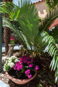un vaso di fiori e piante in un giardino di Confortevole appartamento provenzale a SantʼAntìoco