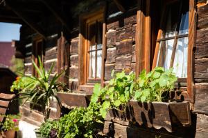ein Holzhaus mit Pflanzen vor dem Fenster in der Unterkunft Gasthof Zum Kramer in Gurk