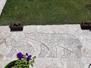 un patio con 2 plantas y flores púrpuras en Tanjuška en Žabljak