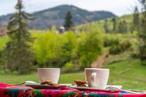 Príroda v okolí apartmánu